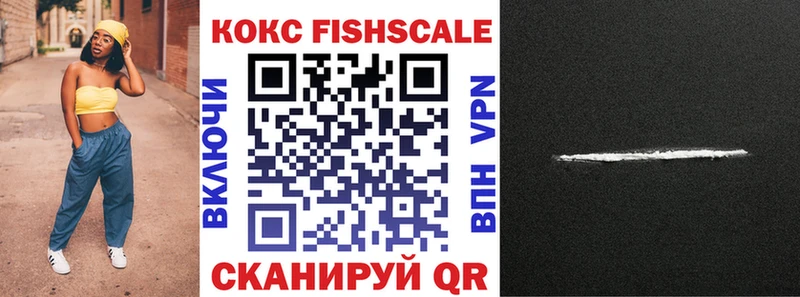 Cocaine FishScale  Купить закладки  Камбарка 