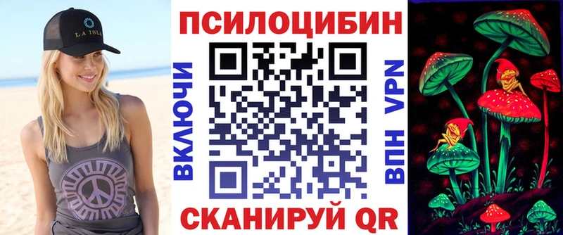 Купить закладки  Камбарка  Псилоцибиновые грибы Psilocybine cubensis 